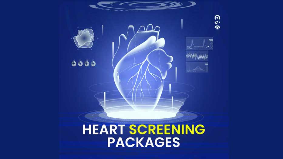 Echocardiography and stress tests are both non-invasive diagnostic tools that can be used to evaluate the function of the heart.